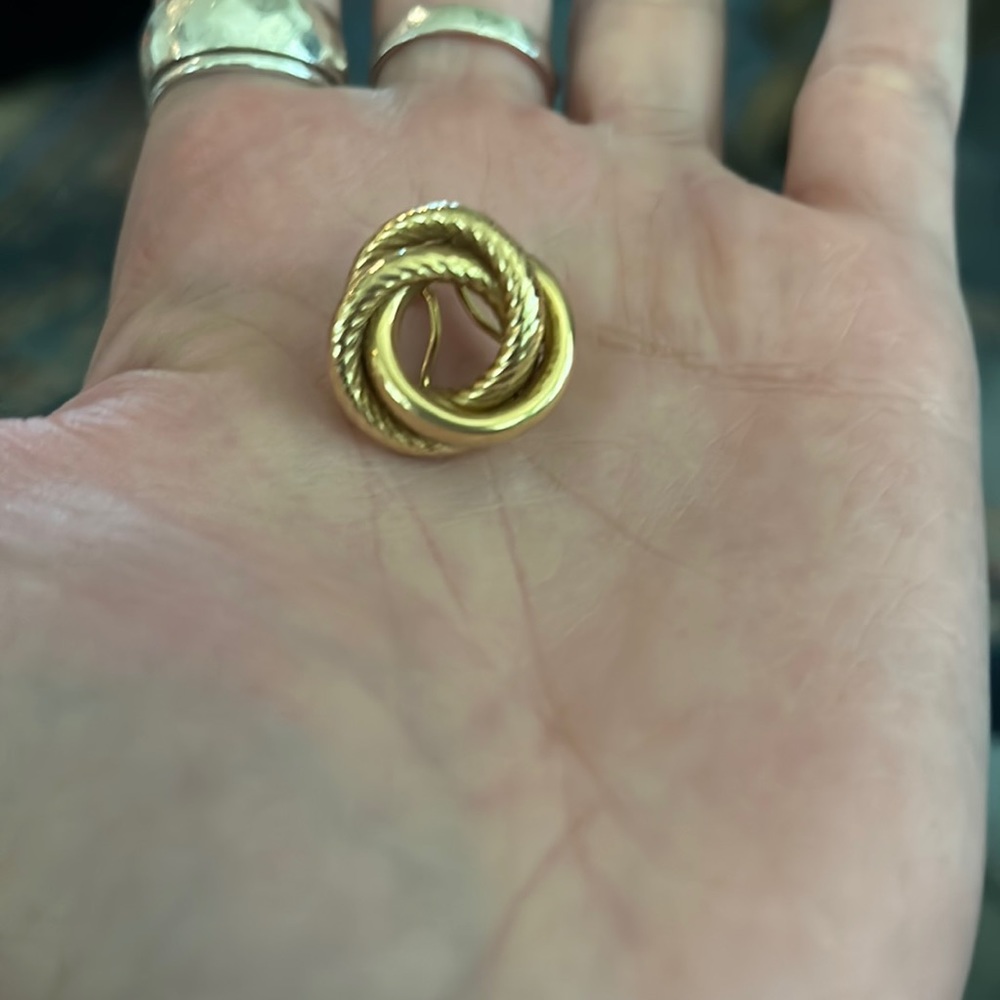 ISO- In search of these earrings, lost one of a pair. Will negotiate price